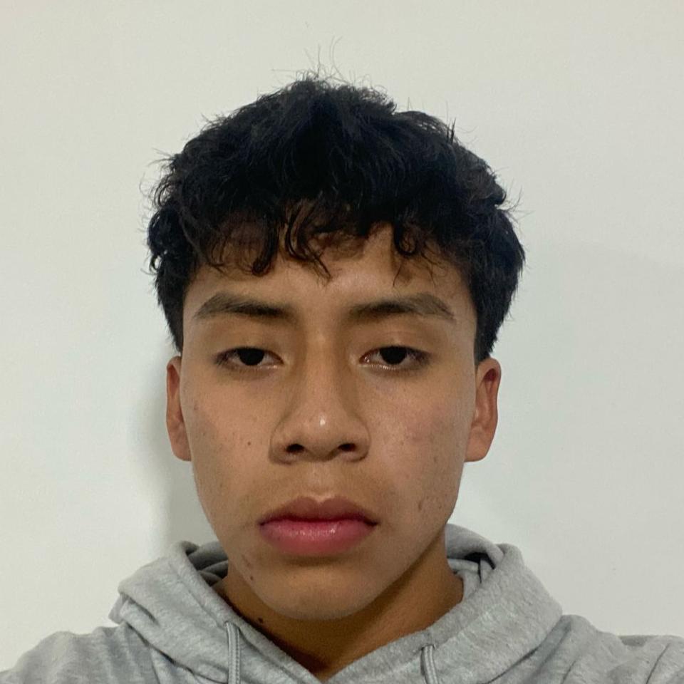 User Image