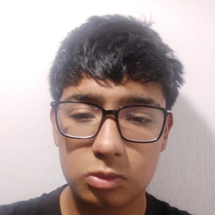 User Image